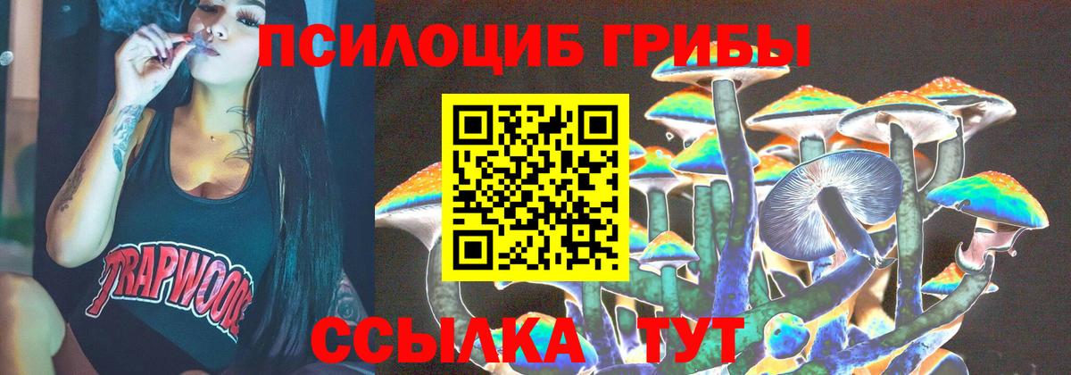 Галлюциногенные грибы Cubensis  Галлюциногенные грибы Magic Shrooms  Вход с VPN  Юрга 