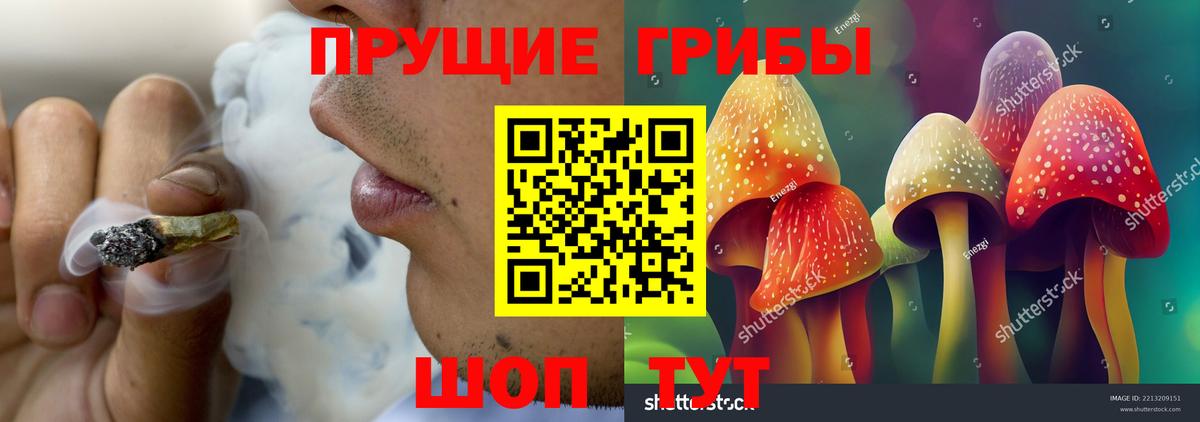 Галлюциногенные грибы Cubensis Юрга
